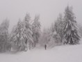 /album/a21-prosince-2018/a20181221-111903-jpg1/
