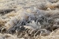 /album/23-12-2021/dsc-0069-jpg/