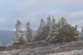 /album/23-12-2021/dsc-0071-jpg/