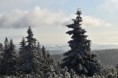 /album/23-12-2021/dsc-0085-jpg/